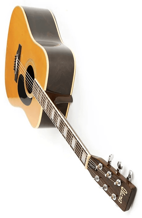 Ibanez 753