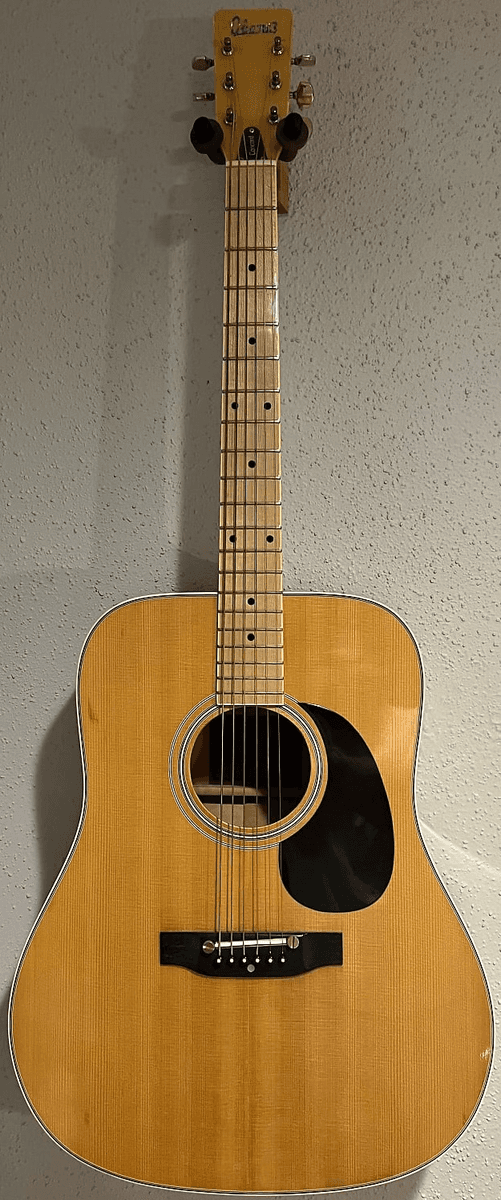 Ibanez 699