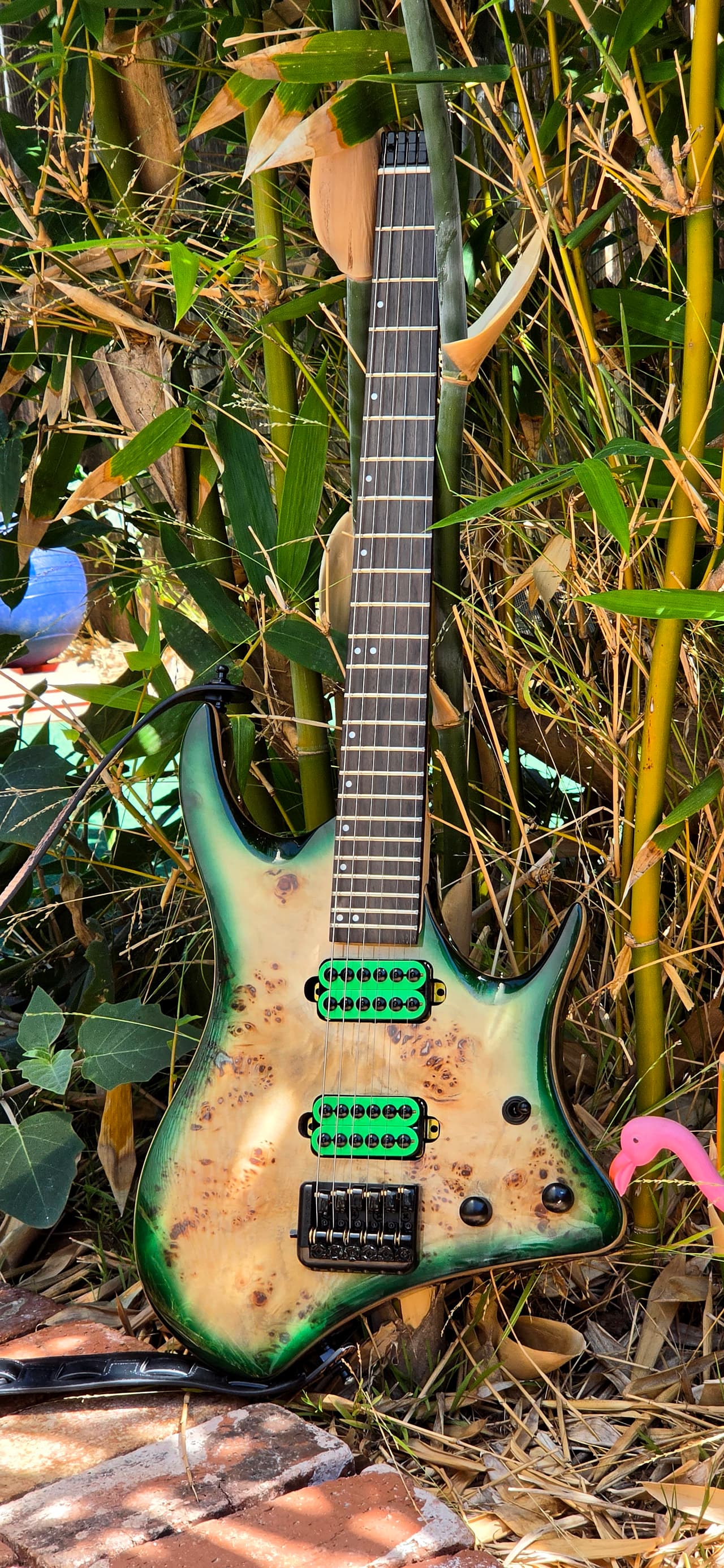 The Cheap Experiment, photo 4